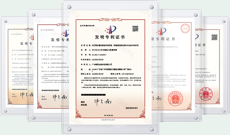 发明专利证书展示