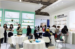 2023年上海美博会