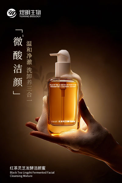 红茶灵芝发酵洁颜蜜
